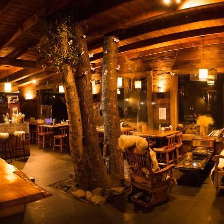 Cabana & Loft El Laurel Temuco Exteriér fotografie